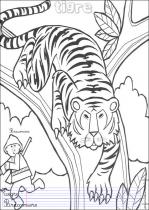coloriage-tigre-1